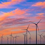 HOW TO REDUCE YOUR CARBON FOOTPRINT by 80%