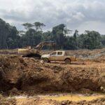 Deforestation in REDD-protected Congo rainforests is ‘beyond words’