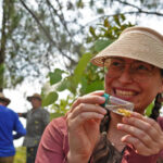 In Panama, an Indigenous-led project rewrites the rules of reforestation
