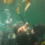 Indigenous divers on Chile’s island restore seabed to protect seafood sources