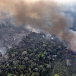 Climate strikes the Amazon, undermining protection efforts