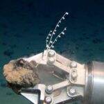 U.S. federal agency clears ways for deep-sea mining — and companies are lining up
