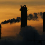 Meat giant profits from carbon market without halting deforestation