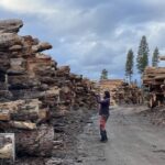 California wood pellet plants canceled amid market decline & public pushback